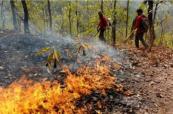 Thailand boosts wildfire response with satellite tech
