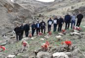 Azerbaijan commemorates 33 years since Bashlibel massacre
