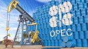 OPEC Fund announces $1.5B support package