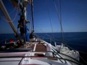 20 Turkish nationals detained in Israeli raid on Gaza aid flotilla -  VIDEO 