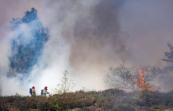 Multiple fires break out on Dutch military training ranges