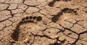 115,000-year-old human footprints discovered in geographically defying location