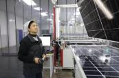 Solar surge halts fossil fuel growth as China and India lead historic shift