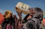Millions at risk of starvation as catastrophic drought ravages Somalia