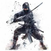 The Mexican Ninja is coming: Sombrero replacing the mask -  VIDEO 