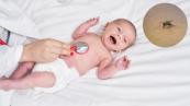 Novartis’ Coartem Baby receives WHO prequalification as first malaria treatment for newborns