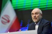 Iranian speaker says Americans will be ‘nostalgic’ for cheap gasoline 