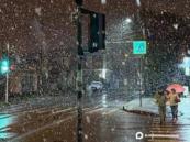 From spring to snow: freak blizzard hits Krasnodar after 19°C heatwave