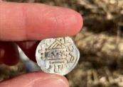 Metal detectorists uncover Norway's biggest Viking Age coin hoard