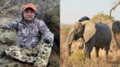 Nature strikes back: Big-game hunter trampled by elephants in Gabon