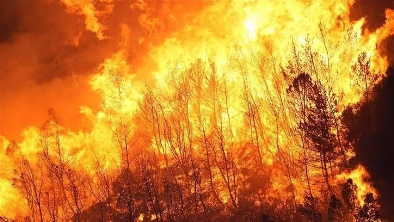 Thousands ordered to evacuate as massive wildfires threaten northern Japan town -  VIDEO 