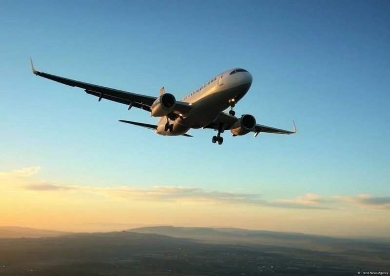 Etihad Airways to launch Abu Dhabi-Tashkent flights this August