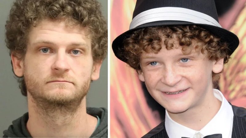 Hunger Games actor Ethan Jamieson arrested for shooting at vehicle on e-bike -  VIDEO 