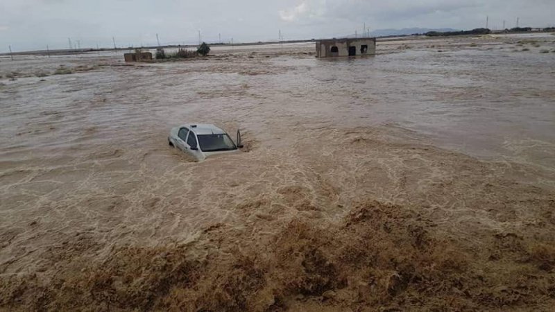 7 killed as heavy rains lash Algeria 