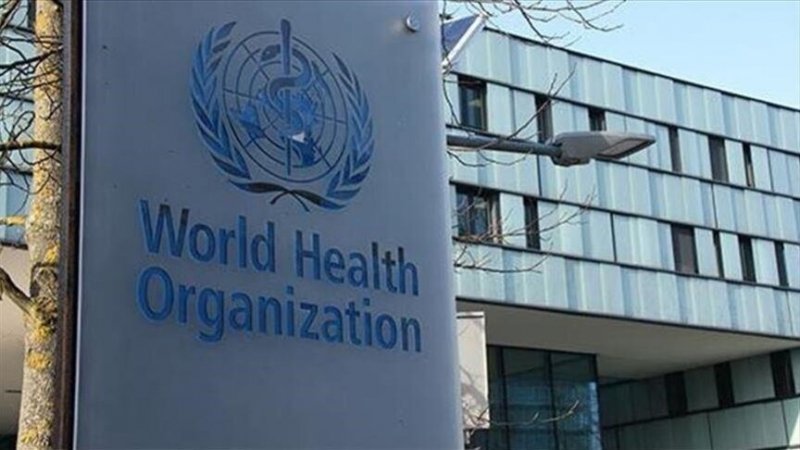 Hantavirus on a cruise? WHO investigates rare ship outbreak