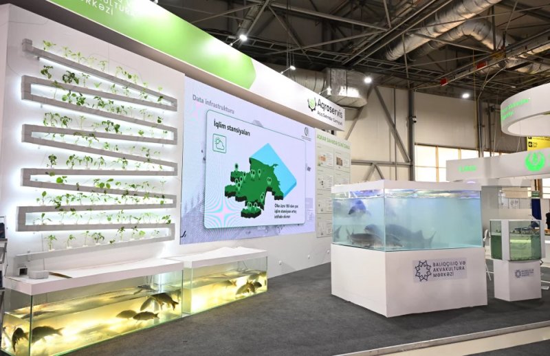 News about - President Ilham Aliyev attends 19th Caspian Agro Week and 31st InterFood Azerbaijan exhibitions -   VIDEO 