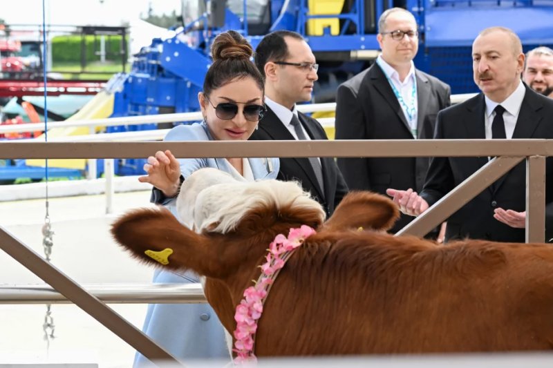 News about - President Ilham Aliyev attends 19th Caspian Agro Week and 31st InterFood Azerbaijan exhibitions -   VIDEO 