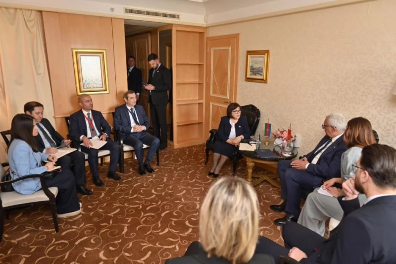 Azerbaijan’s parliament speaker meets Montenegrin counterpart