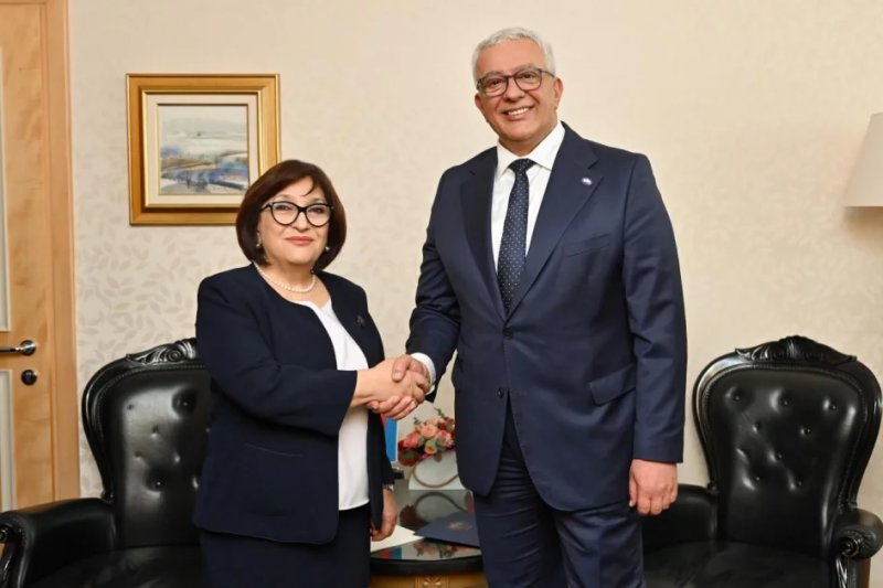 News about - Azerbaijan’s parliament speaker meets Montenegrin counterpart