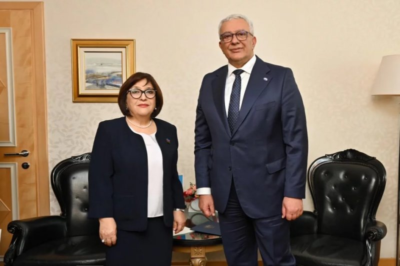 News about - Azerbaijan’s parliament speaker meets Montenegrin counterpart