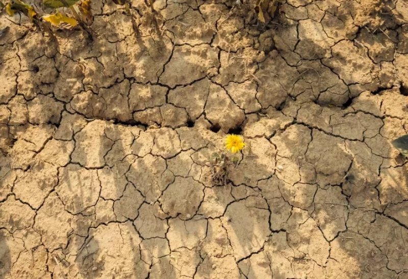 Scientists warn super El Niño could drive record-breaking global heat