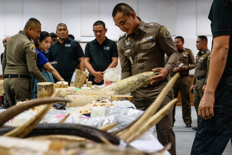 Nine arrested in Thailand over large ivory trafficking ring