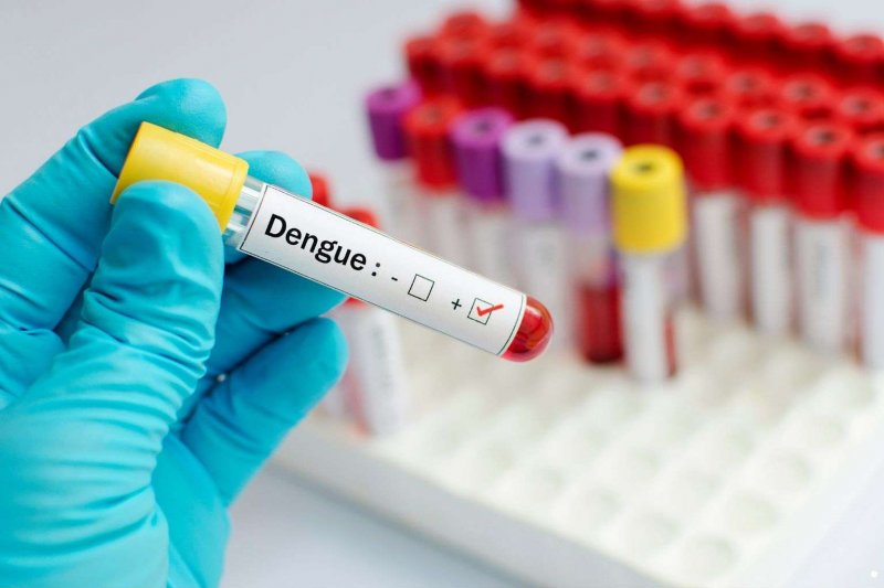 Sri Lanka sees rise in dengue cases amid monsoon fears