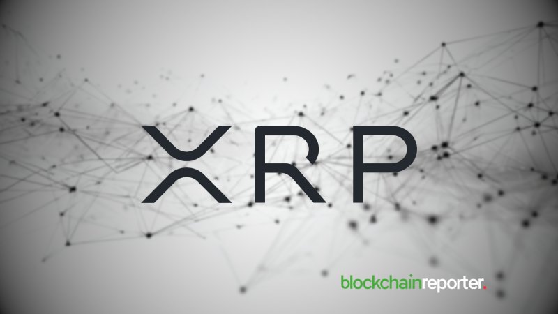 Is XRP a good investment in 2026? - Anyone investing in XRP must read 