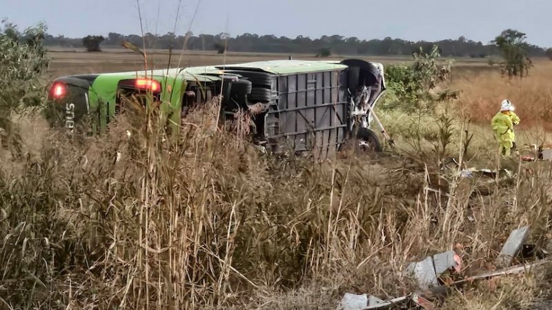 Dozens injured in bus rollover in Australia's Queensland
