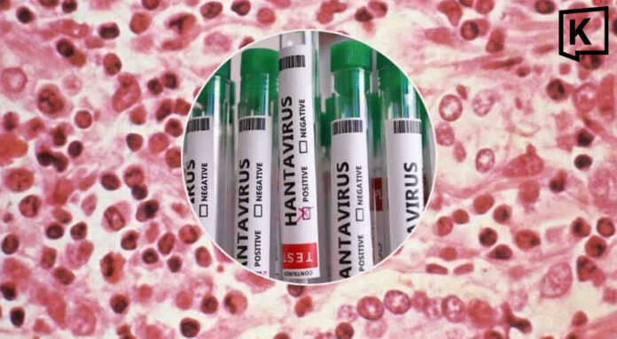 Why did Thailand classify hantavirus as a dangerous communicable disease?