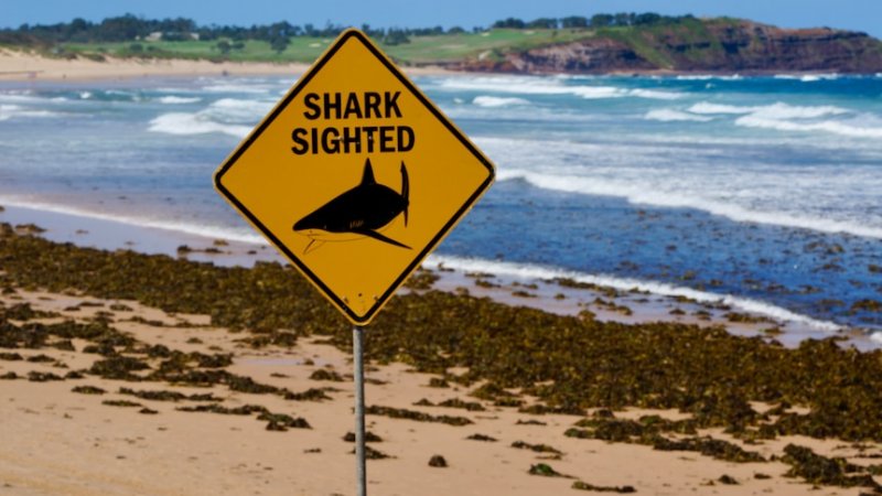 Man dies after shark attack off Western Australia coast
