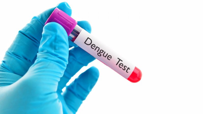 Singapore reports steep decline in dengue cases