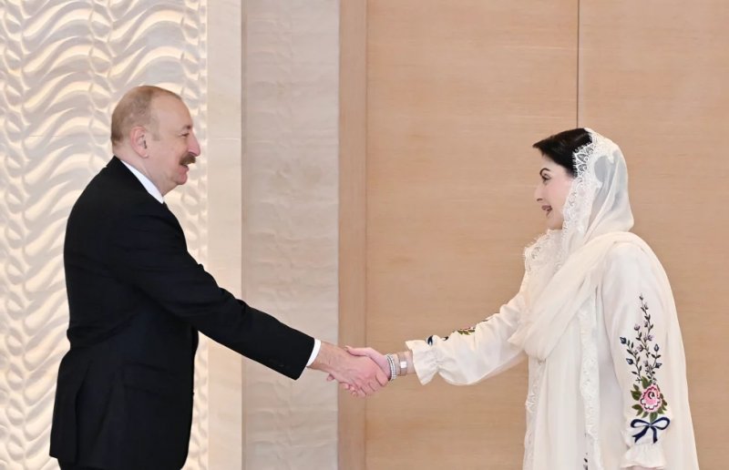 President Ilham Aliyev received Chief Minister of Pakistan's Punjab Province