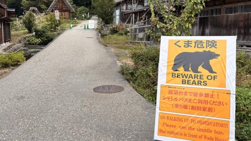 Bear attack injures hiker in western Tokyo's Okutama