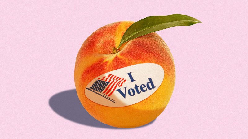 Georgia primary voters head to polls for high-stakes 2026 races