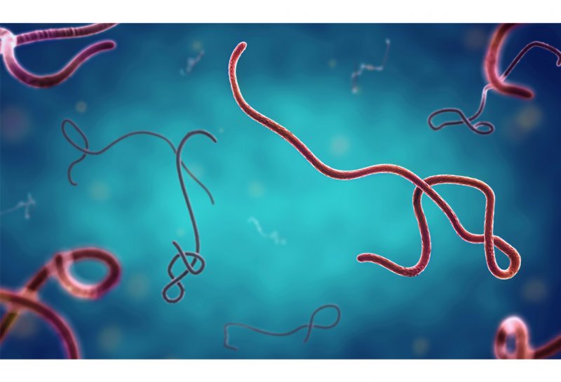 Berlin braces for Ebola patient amid 30% rise in deaths
