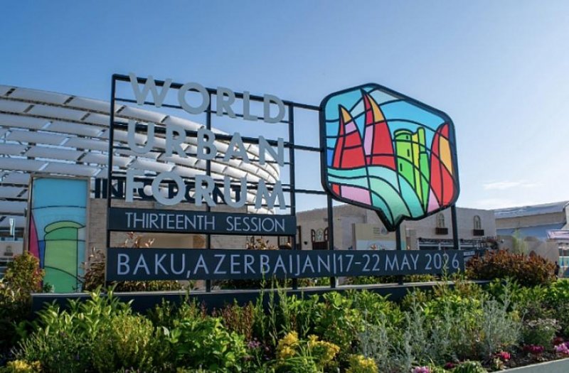 UN director applauds Azerbaijan new global NGO platform initiative