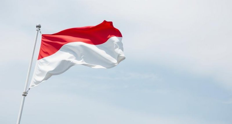 Indonesia condemns Israel's treatment of Gaza flotilla volunteers