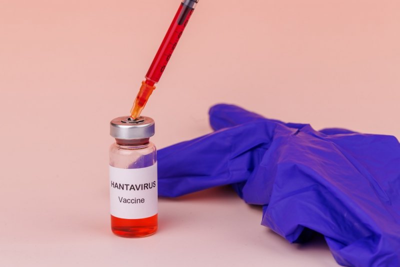 EU boosts efforts on hantavirus vaccines
