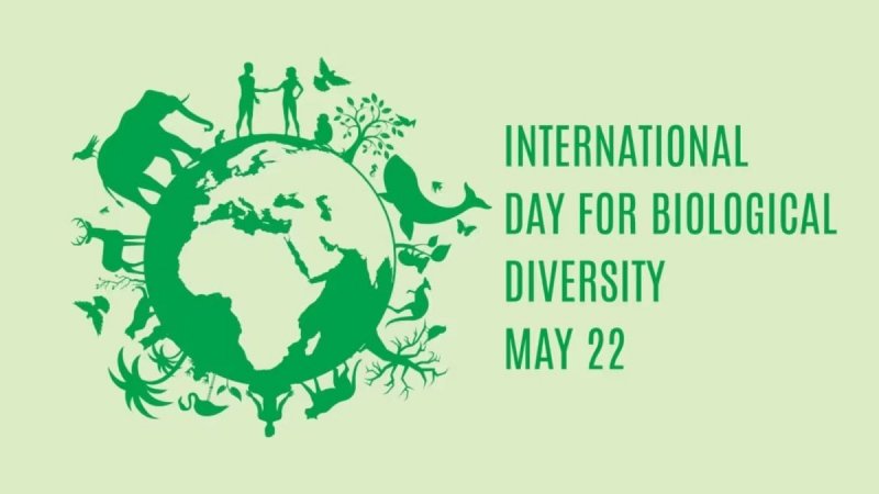 International Day for Biological Diversity highlights need to protect nature