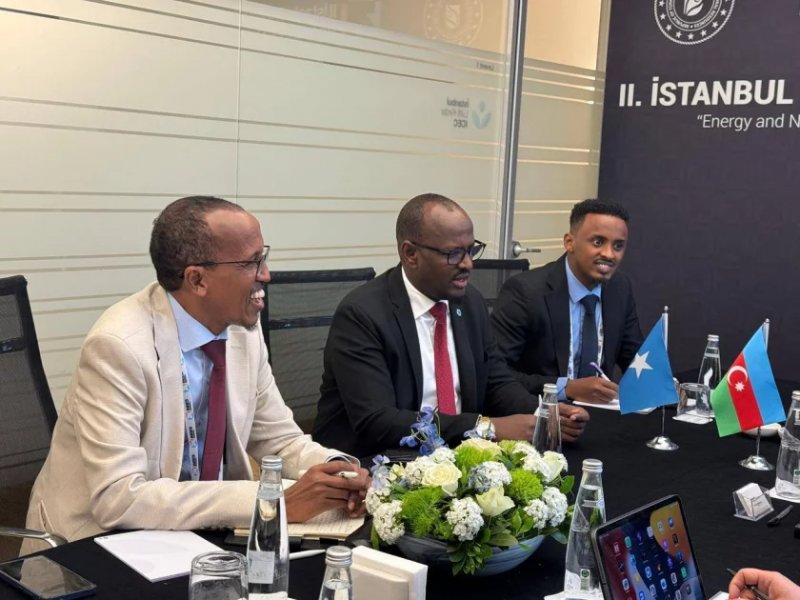Azerbaijan, Somalia explore partnership opportunities