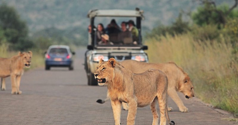 2 tourists found dead in South Africa's Kruger National Park 