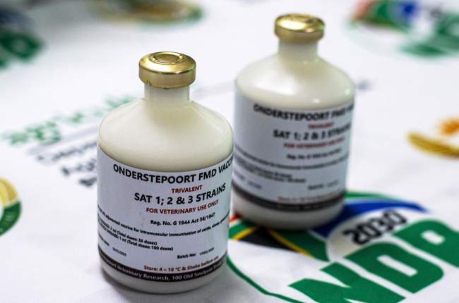 South Africa receives 3.5 mln doses of FMD vaccine from Argentina to curb outbreak 