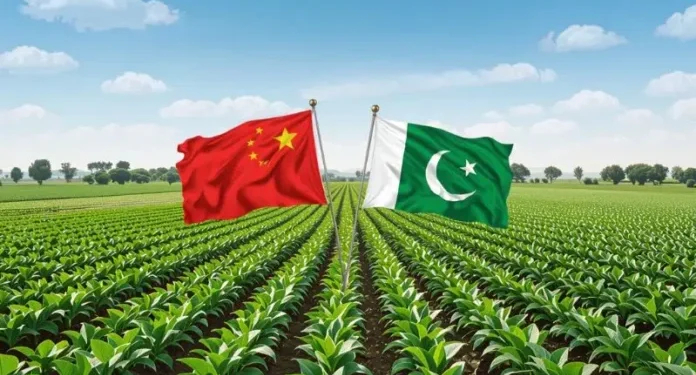 China to boost support for Pakistan’s agriculture and expand market access for exports 