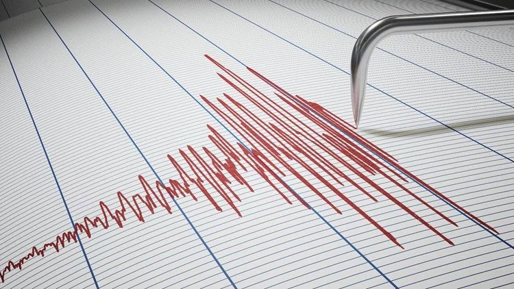 5.0-magnitude quake jolts south of Africa