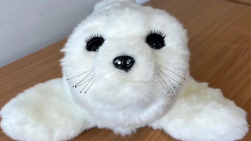 Robotic seal Sammy to help mental health patients in Kent