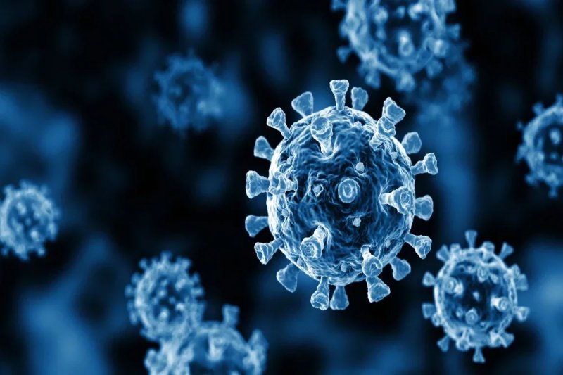 Health Ministry expert explains rise in gastrointestinal infections and prevention measures