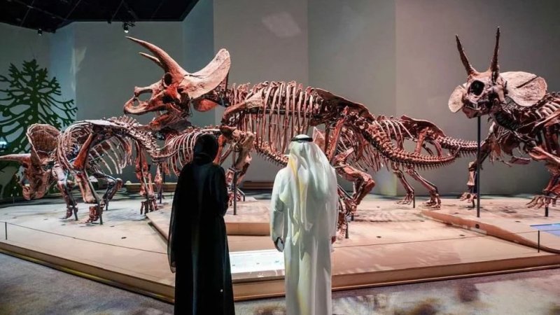 Natural History Museum Abu Dhabi kicks off immersive family workshops this May