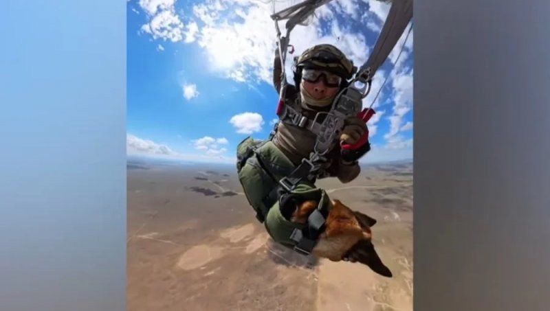 Viral parachute jump by Kazakh military dog Arisha sparks social media debate - VIDEO 