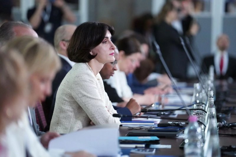Georgian FM accuses Europe of double standards in Council of Europe speech